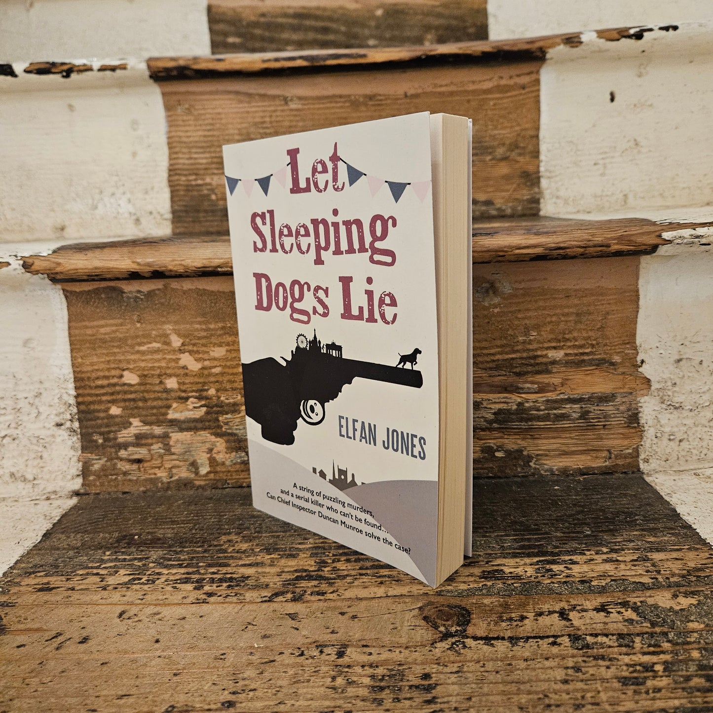 Front cover of Let Sleeping Dogs Lie - Elfan Jones