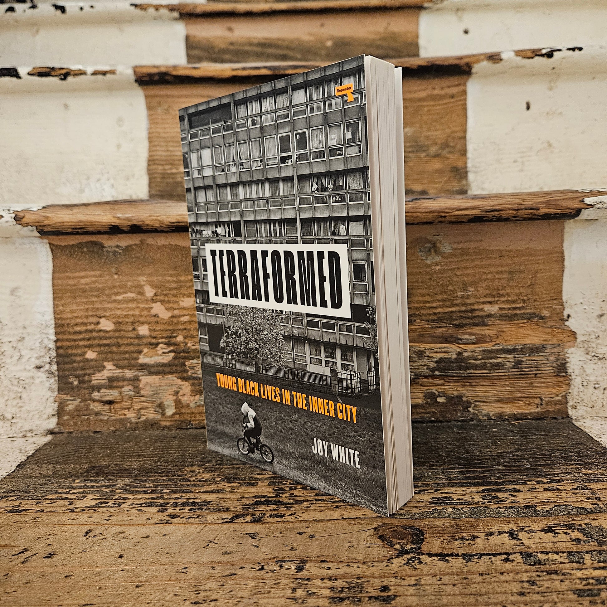 Front cover of Terraformed: Young Black Lives in the Inner City - Joy White