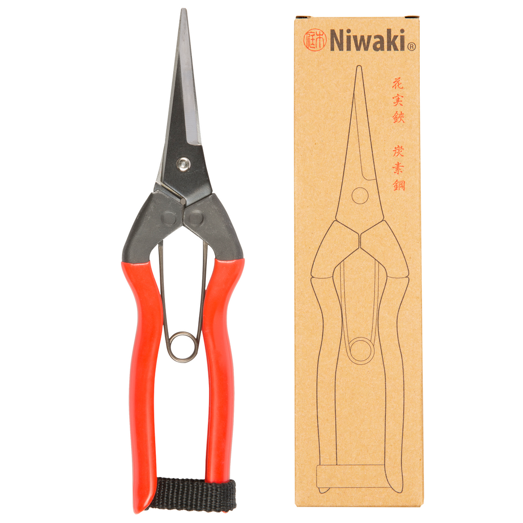 Niwaki - Garden - Snips - Secateurs - Regent Tailoring