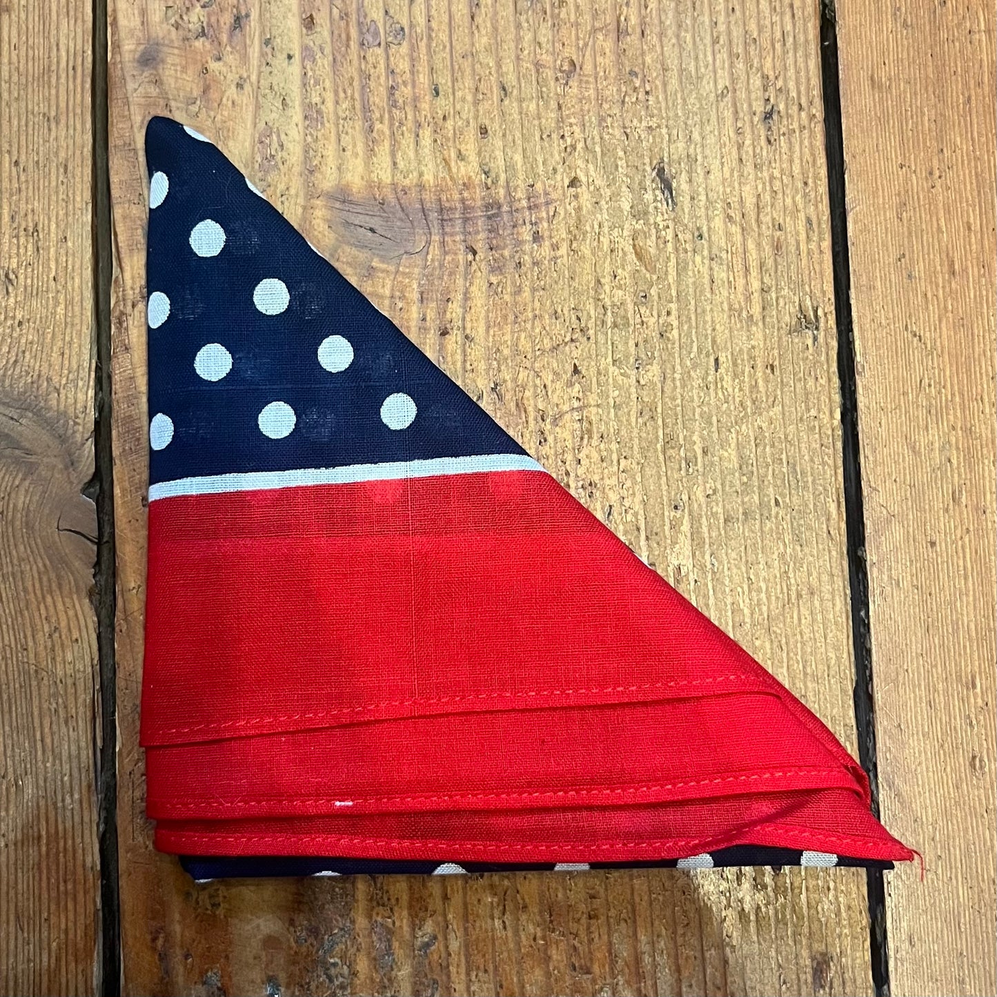 Regent - Cotton Hanky - Bandana - Navy, White Spots, Red Border