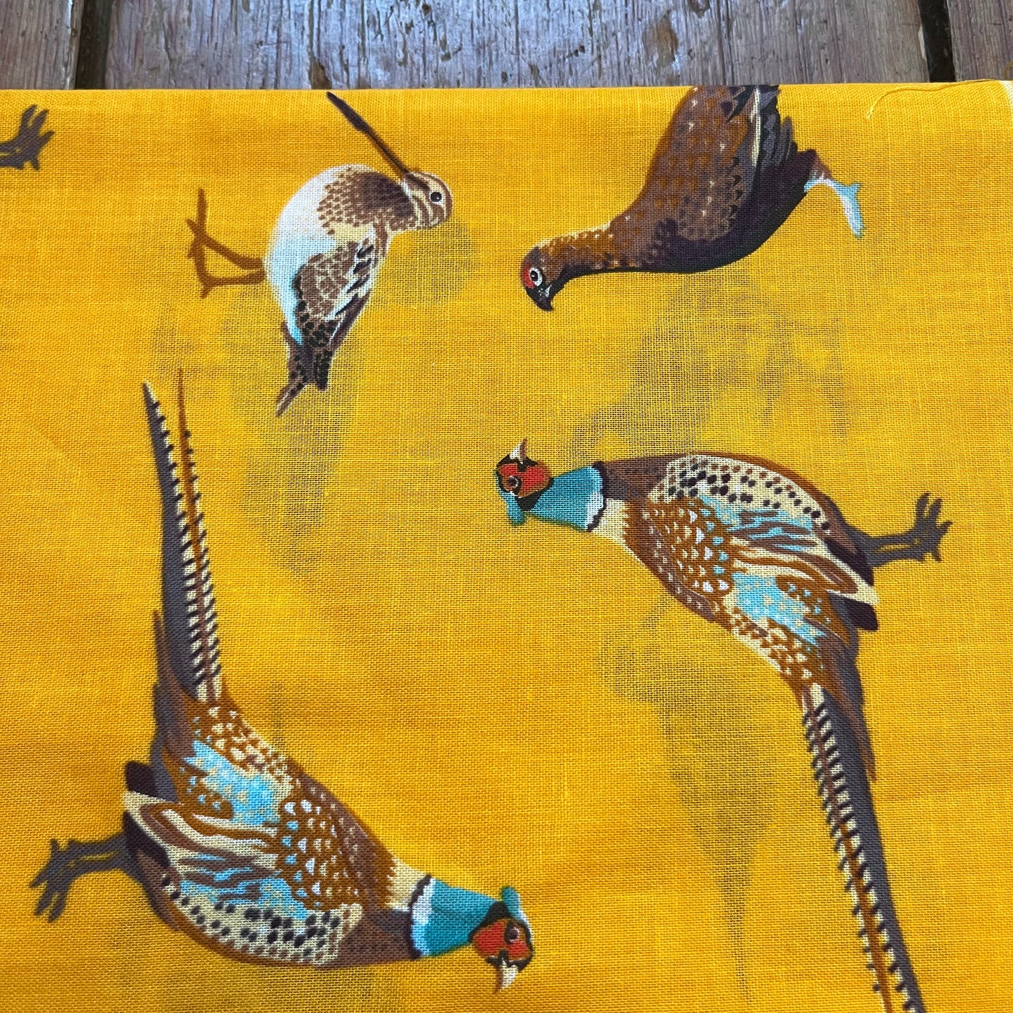 Regent - Cotton Hanky - Bandana - Gold with Country Birds