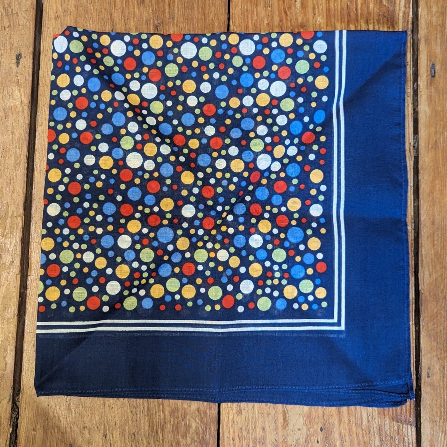 Multi-coloured spot with double border on blue background.
