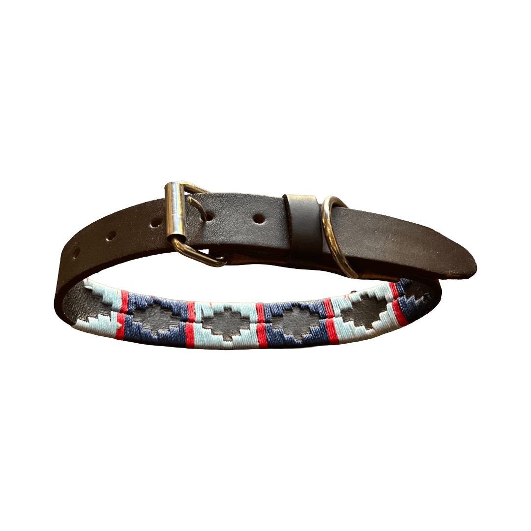 Regent - Argentinian Leather Polo Dog Collar - Light blue, Navy and Red - Regent Tailoring Salisbury