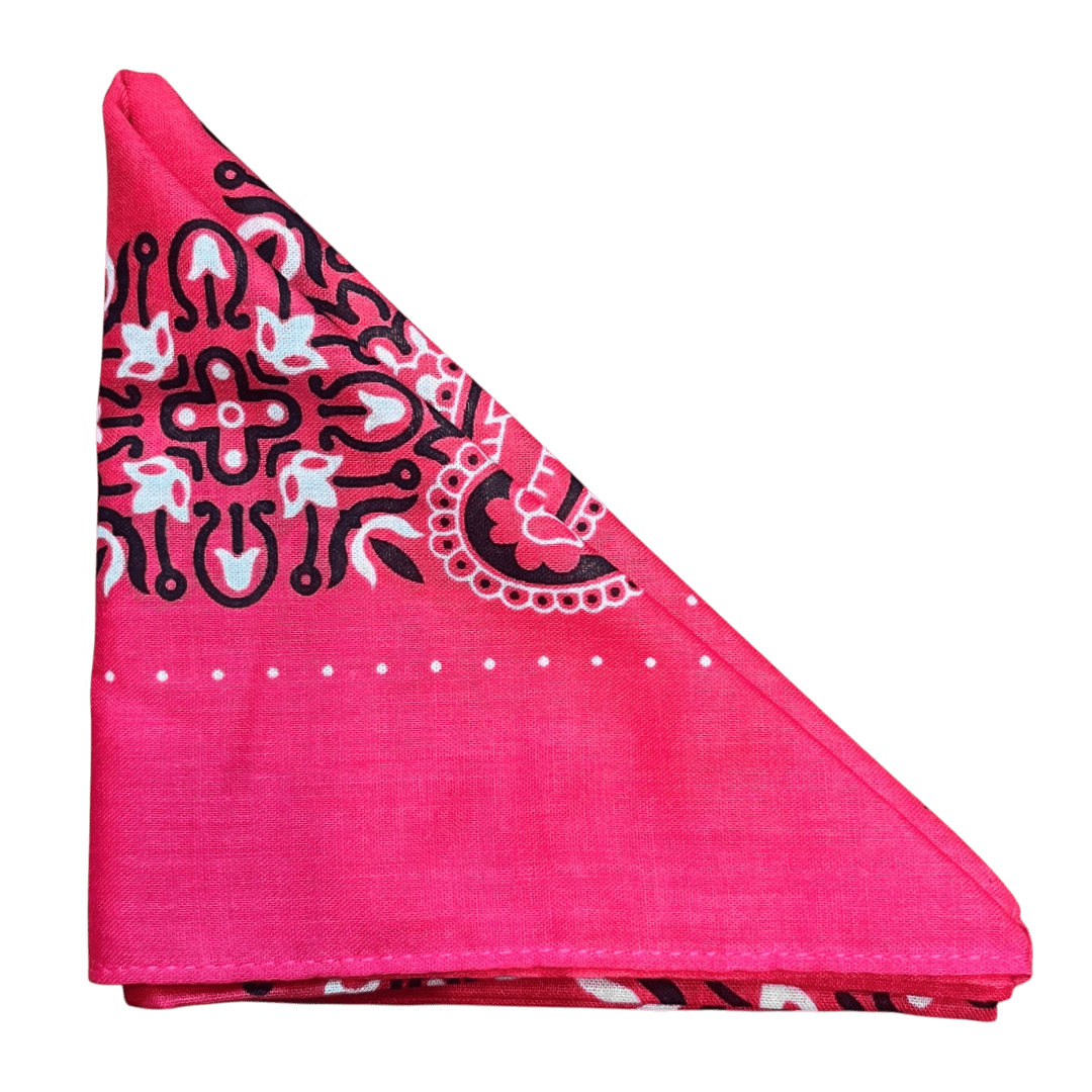 Regent - Cotton Hanky - Bandana - Pink Large Paisley - Regent Tailoring Salisbury