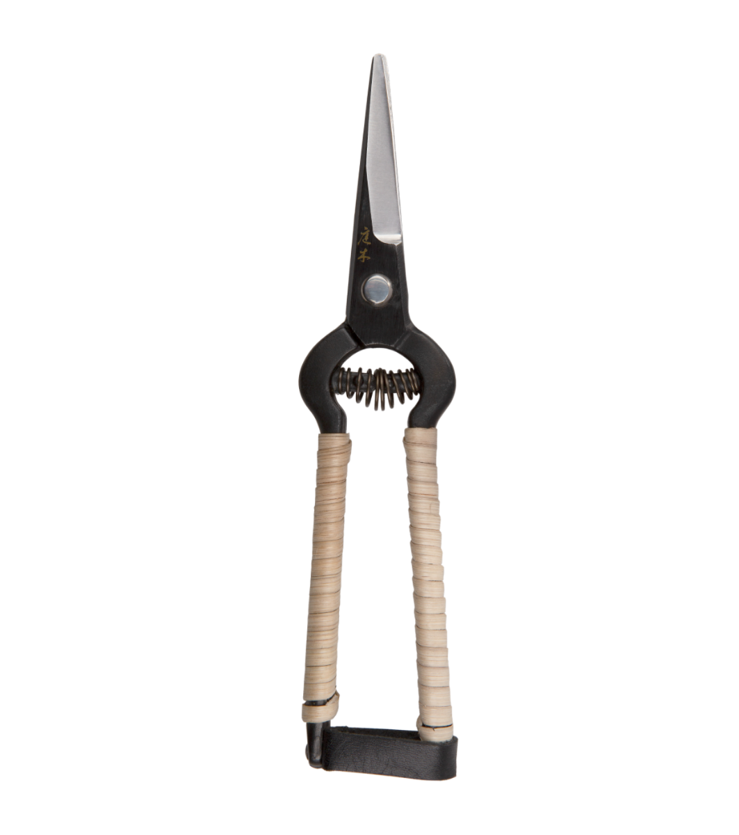 Japanese-made secateurs, perfect for garden pruning, house plants and flowers. Lovely refined action, wisteria rattan handles with a soft spring and an easy leather catch.