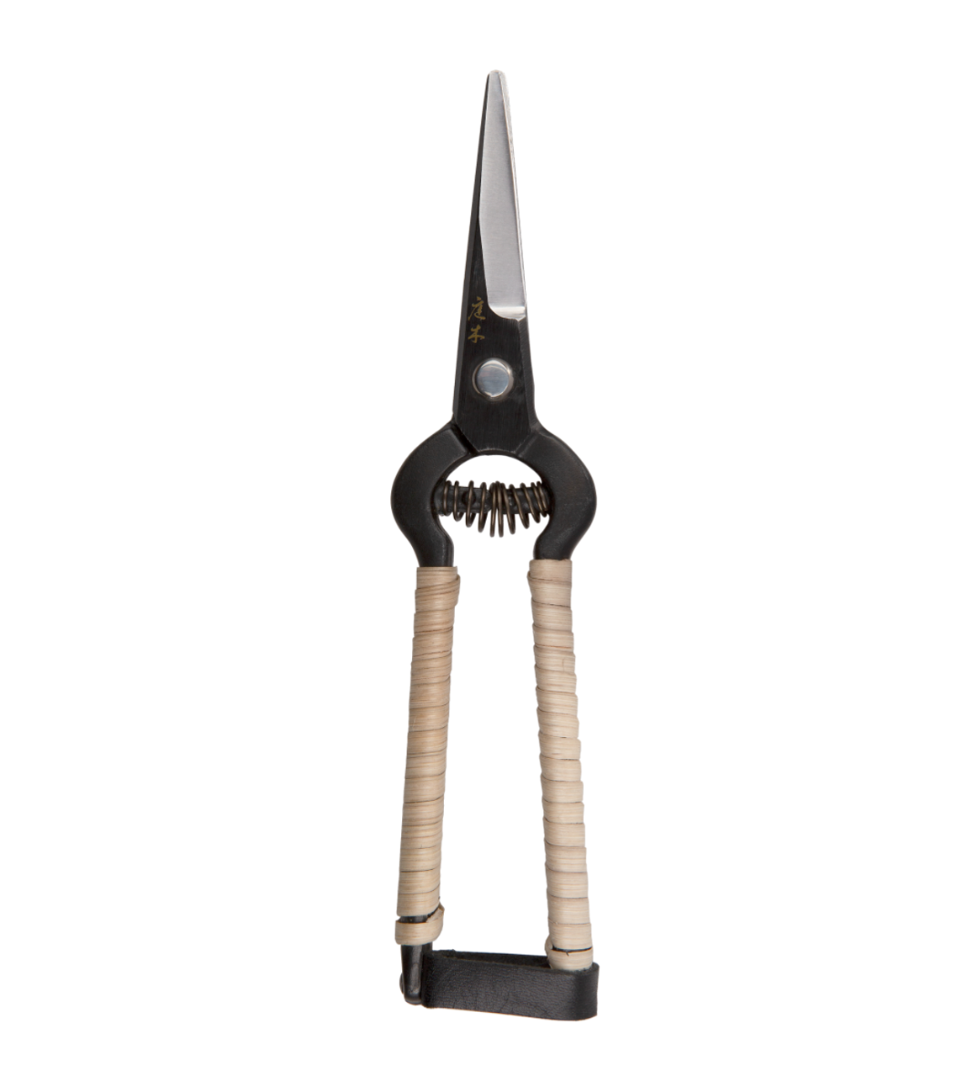 Japanese-made secateurs, perfect for garden pruning, house plants and flowers. Lovely refined action, wisteria rattan handles with a soft spring and an easy leather catch. 
