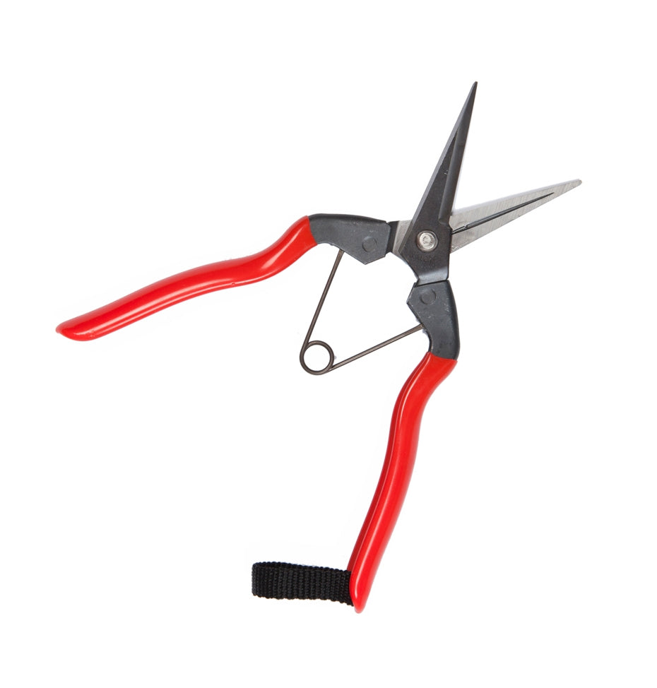 Niwaki - Garden - Snips - Secateurs - Regent Tailoring