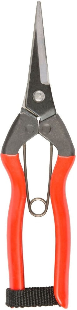 Niwaki - Garden - Snips - Secateurs - Regent Tailoring