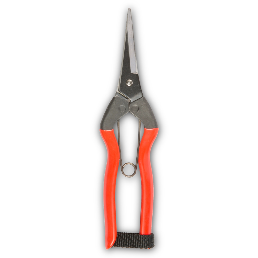 Niwaki - Garden - Snips - Secateurs