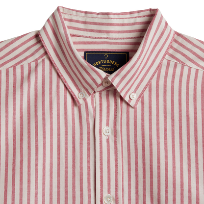 Close-up of a Portuguese shirt button-down shirt with vertical pink and white stripes, featuring a pointed collar and white buttons.