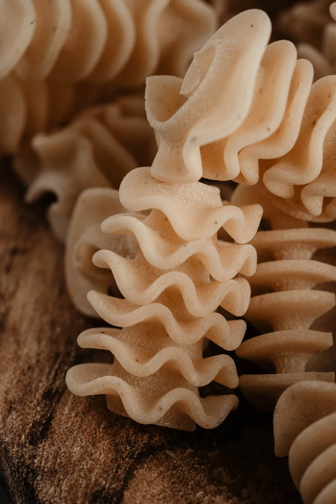 NORTHERN PASTA CO. - RADIATORI