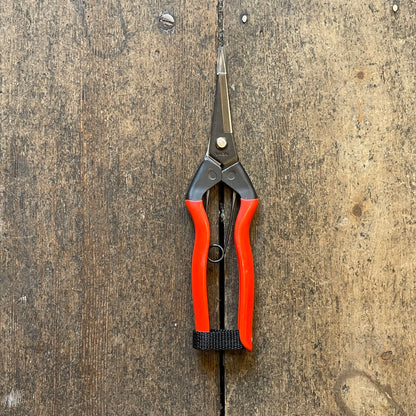 Niwaki - Garden - Snips - Secateurs - Regent Tailoring