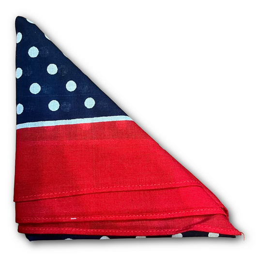 Regent - Cotton Hanky - Bandana - Navy, White Spots, Red Border