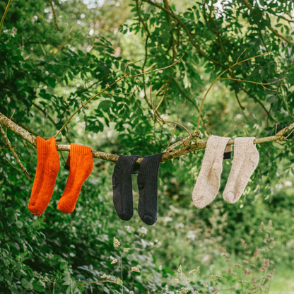 Four knitted socks in orange, navy, and cream are hanging from a tree branch outdoors, with a lush green forest background.