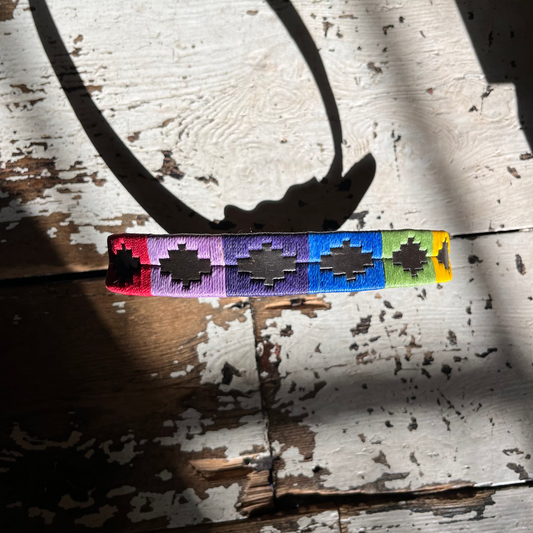 Regent - Argentinian Leather Polo Dog Collar - Rainbow