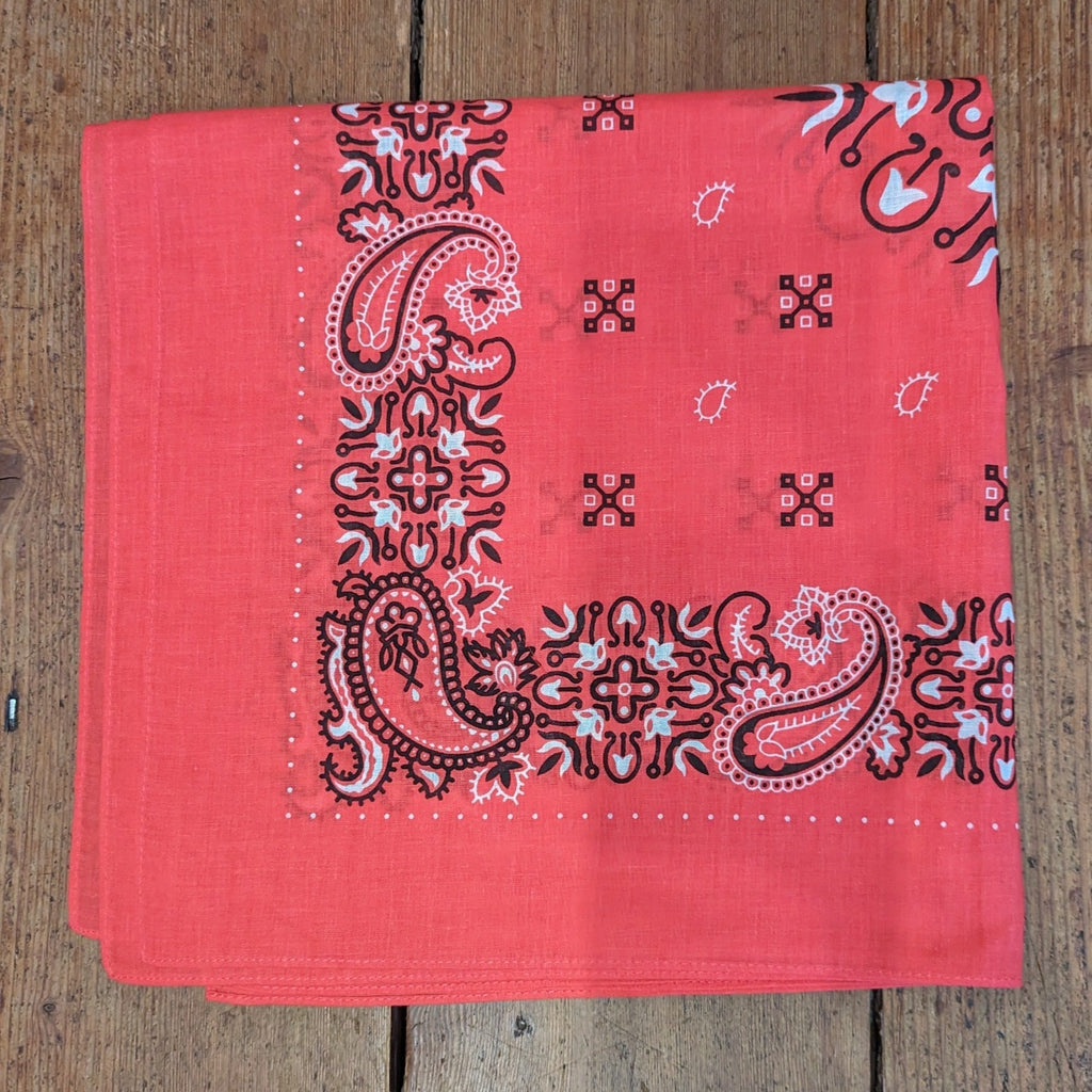 pink large paisley hanky 