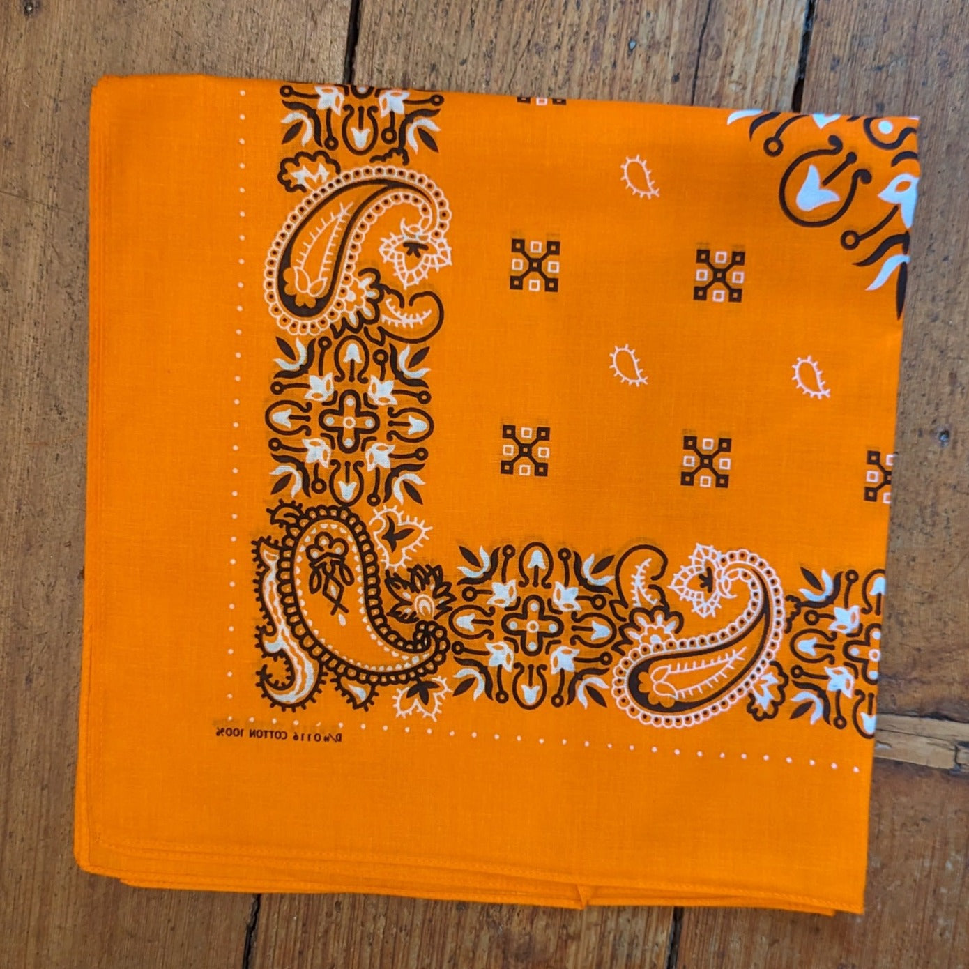 Orange Bandana - Large Paisley Print.