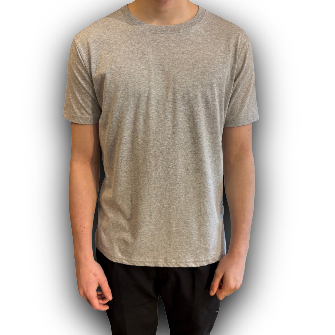 Regent t shirt grey