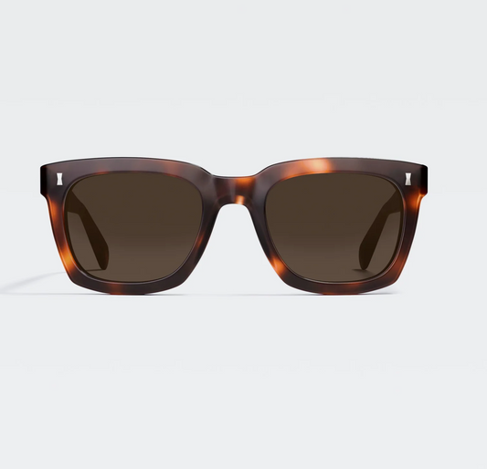 A pair of Cubbits Judd sunglasses in Dark Turtle