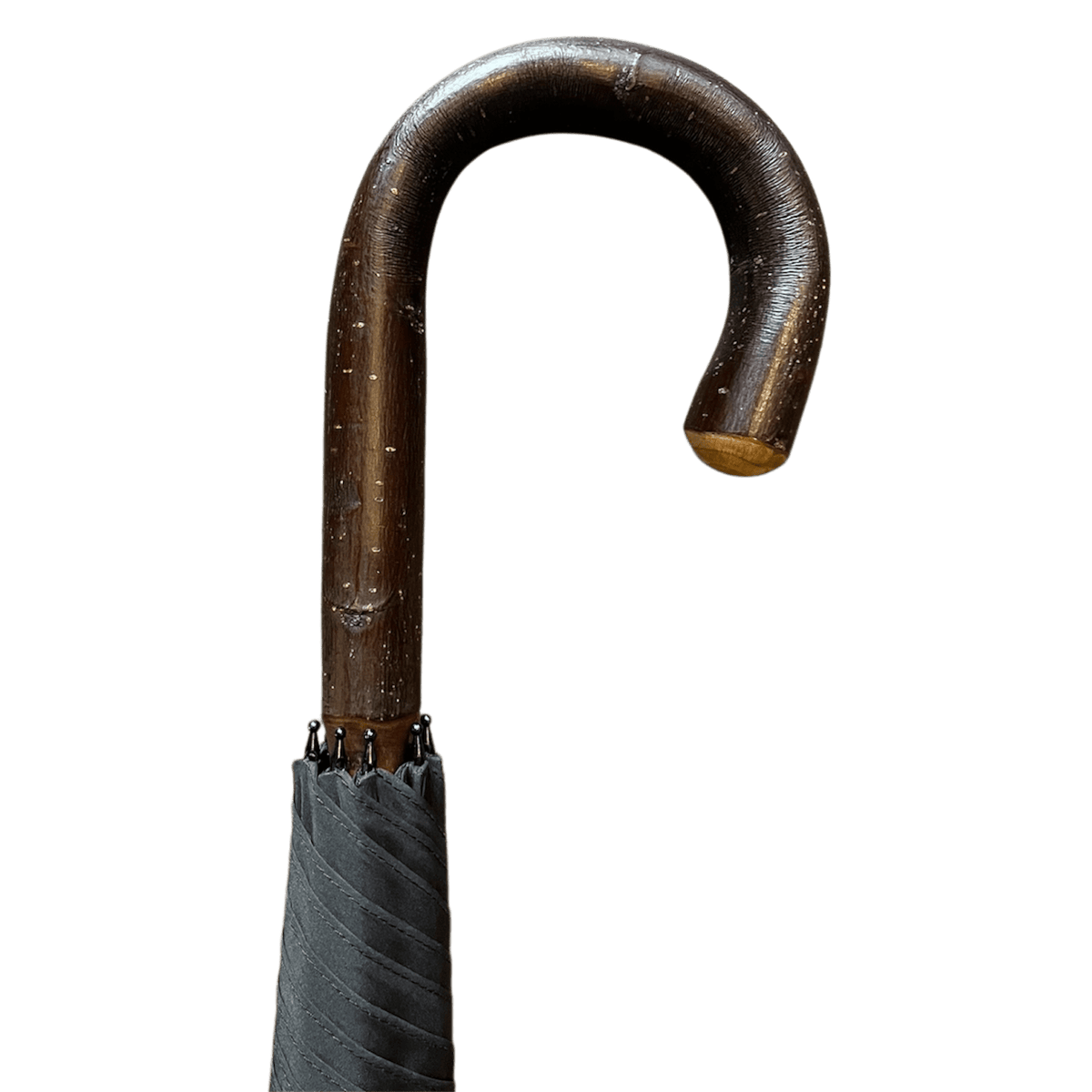 Fox - Polished Chestnut Solid Walking Umbrella - Black - Regent Tailoring Salisbury