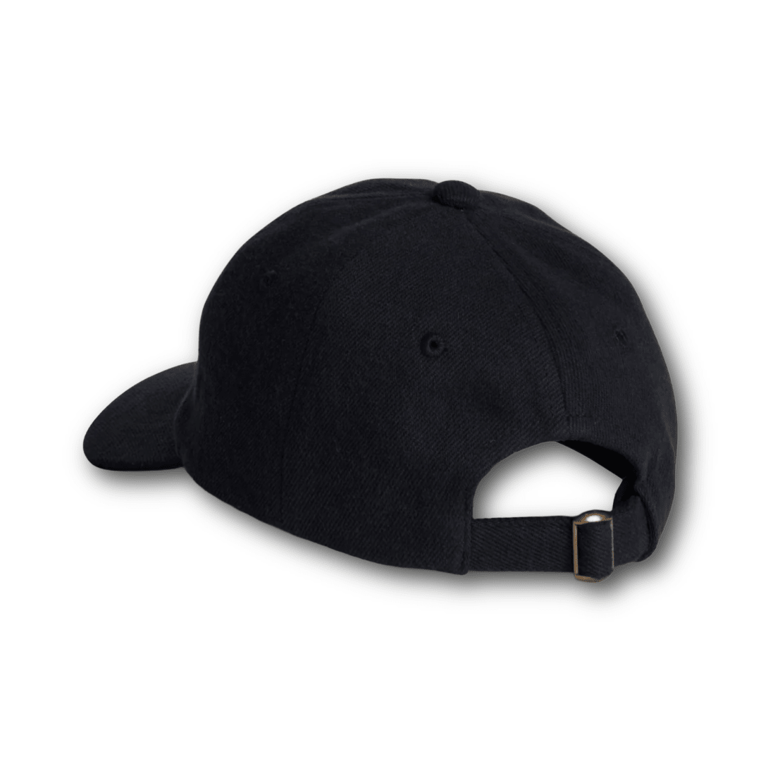 MERZ B. SCHWANEN - Swan Logo Twill Cap