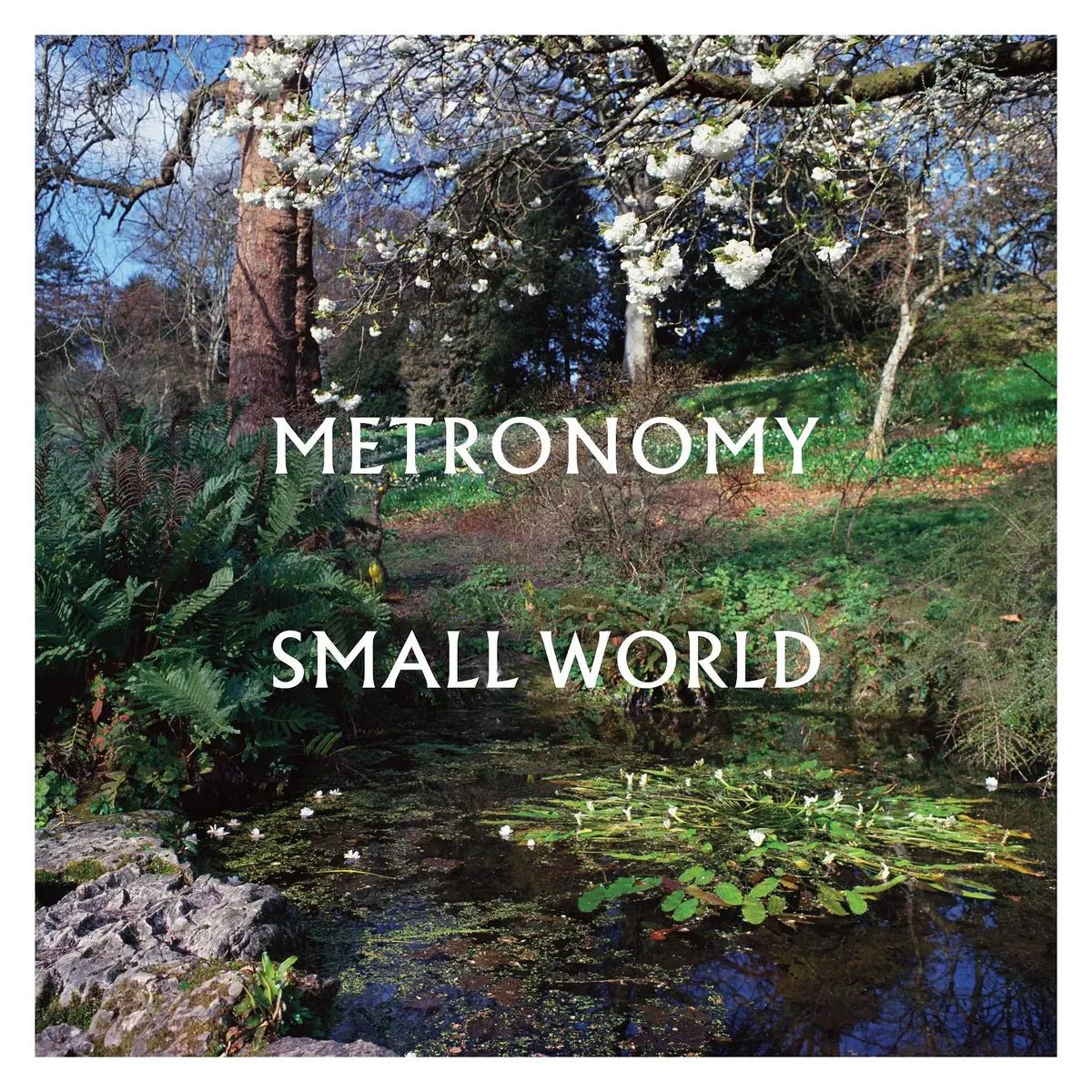 Metronomy - Small World - Vinyl - Regent Tailoring Salisbury