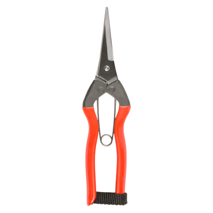 Niwaki - Garden - Snips - Secateurs - Regent Tailoring Salisbury