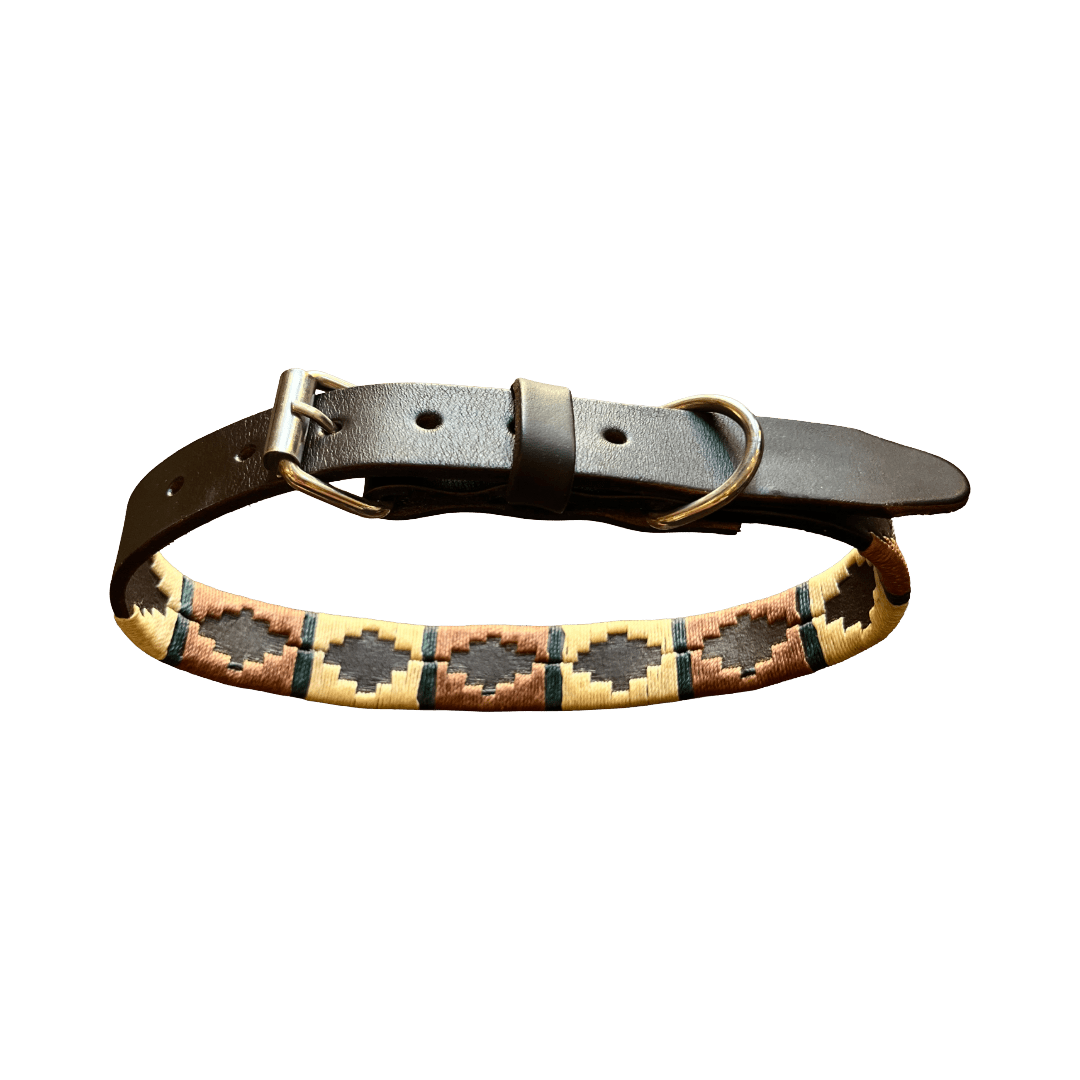 Regent - Argentinian Leather Polo Dog Collar - Burnt Orange, Cream, Green - Regent Tailoring Salisbury