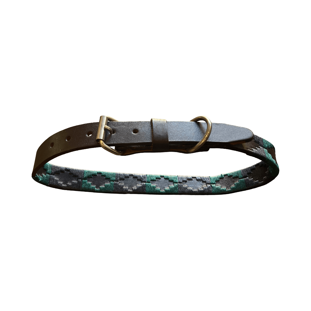 Regent - Argentinian Leather Polo Dog Collar - Green/Navy - Regent Tailoring Salisbury