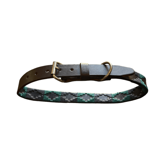 Regent - Argentinian Leather Polo Dog Collar - Green/Navy - Regent Tailoring Salisbury