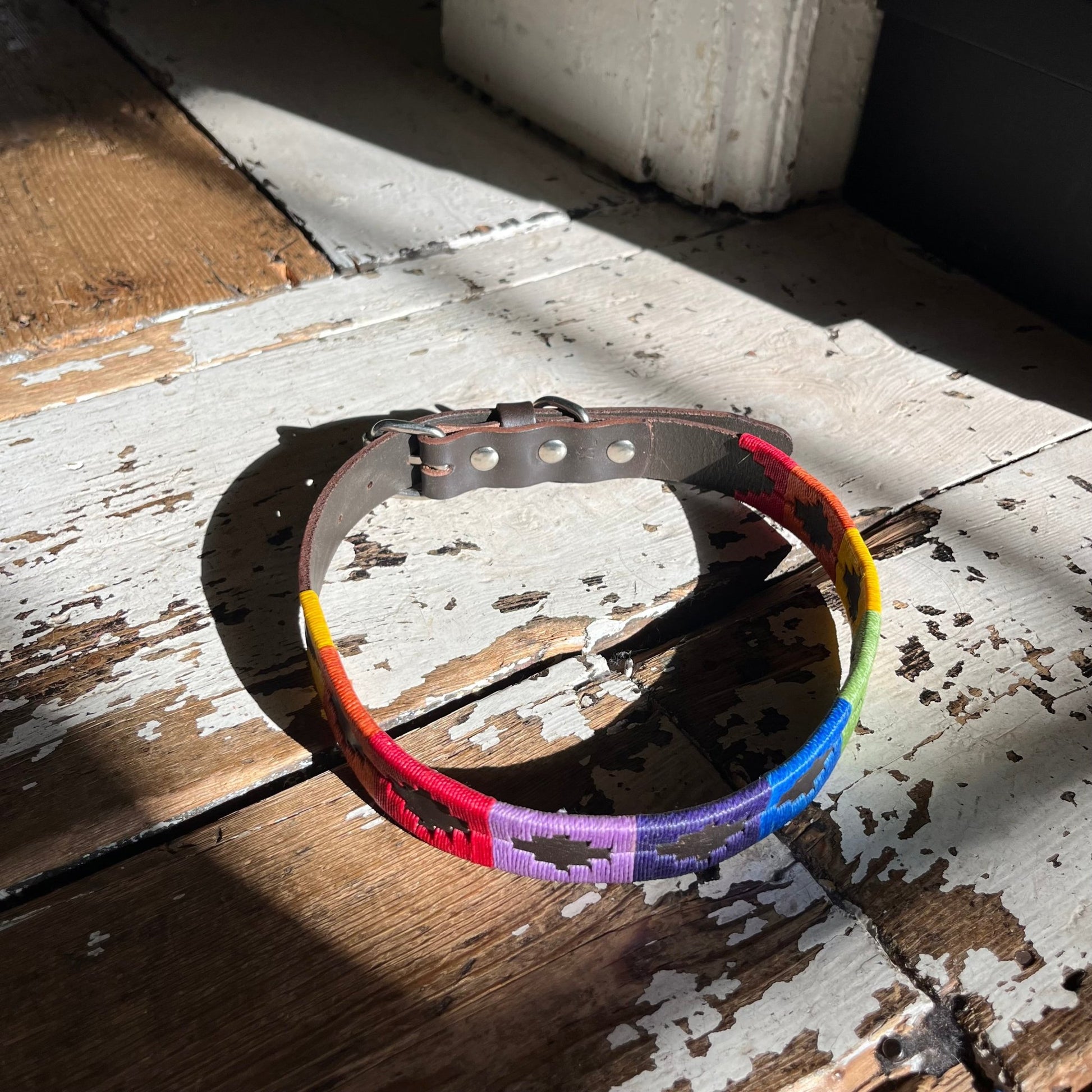 Regent - Argentinian Leather Polo Dog Collar - Rainbow - Regent TailoringRegent