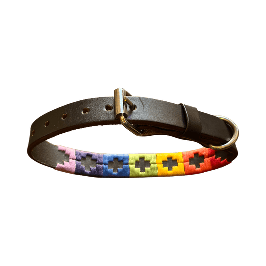 Regent - Argentinian Leather Polo Dog Collar - Rainbow - Regent Tailoring Salisbury