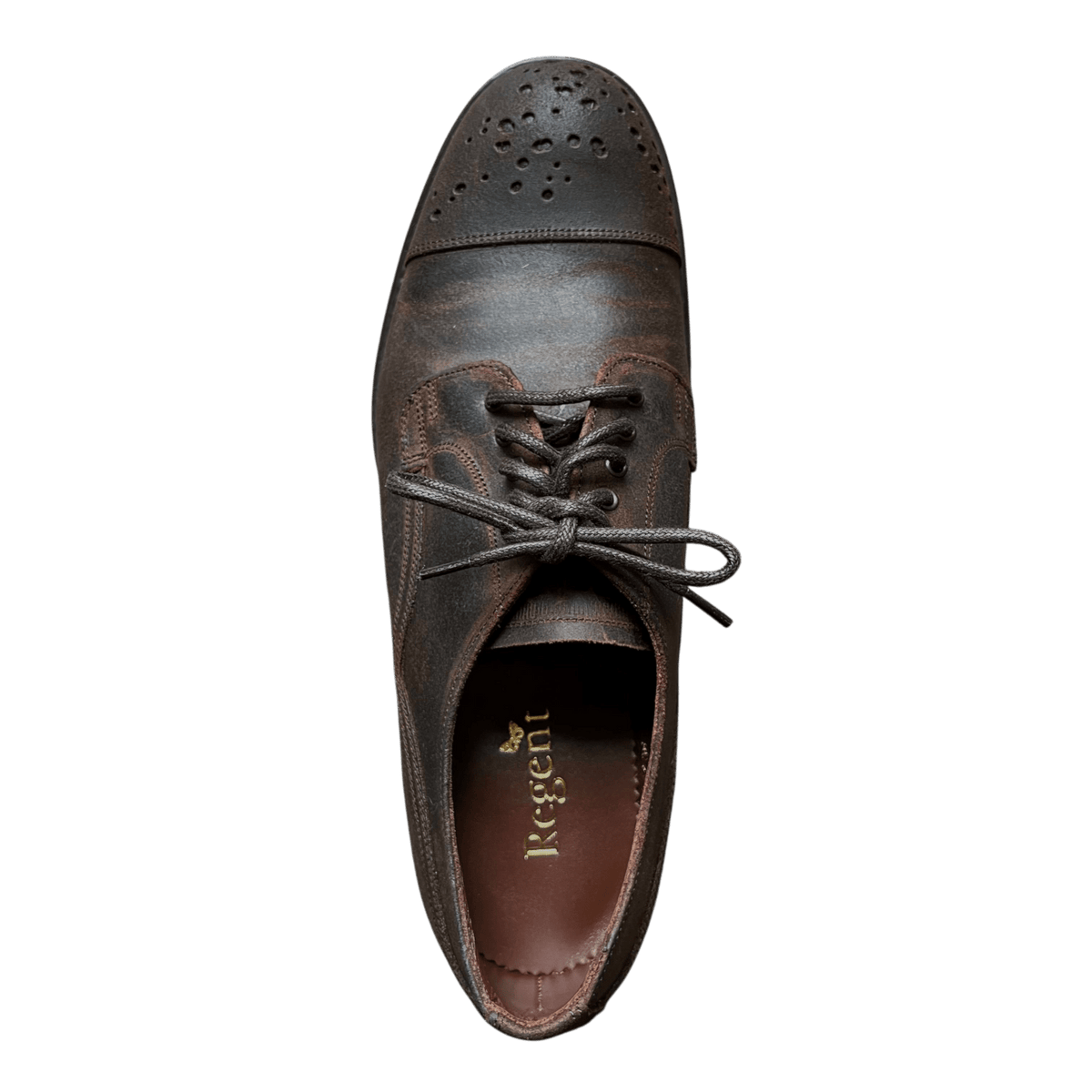 Regent - 'Buck Rogers' Buckshot Derby Brogue - Wax Leather - Regent Tailoring Salisbury