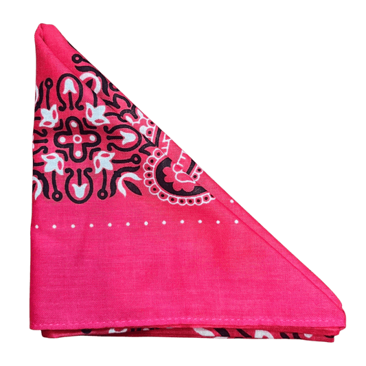 Regent - Cotton Hanky - Bandana - Pink Large Paisley - Regent Tailoring Salisbury