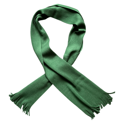 Regent Tailoring solid green 100% wool scarf with classic tassel fringe ends, isolated on white background.