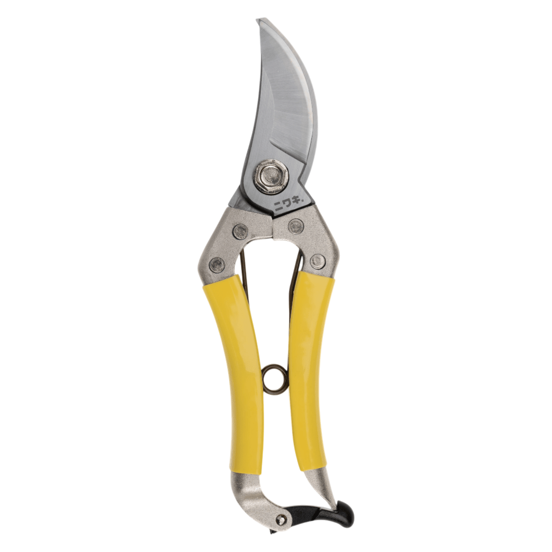 Regent Tailoring Niwaki Daikiba secateurs with yellow handles and sharp SLD carbon steel blades for garden pruning