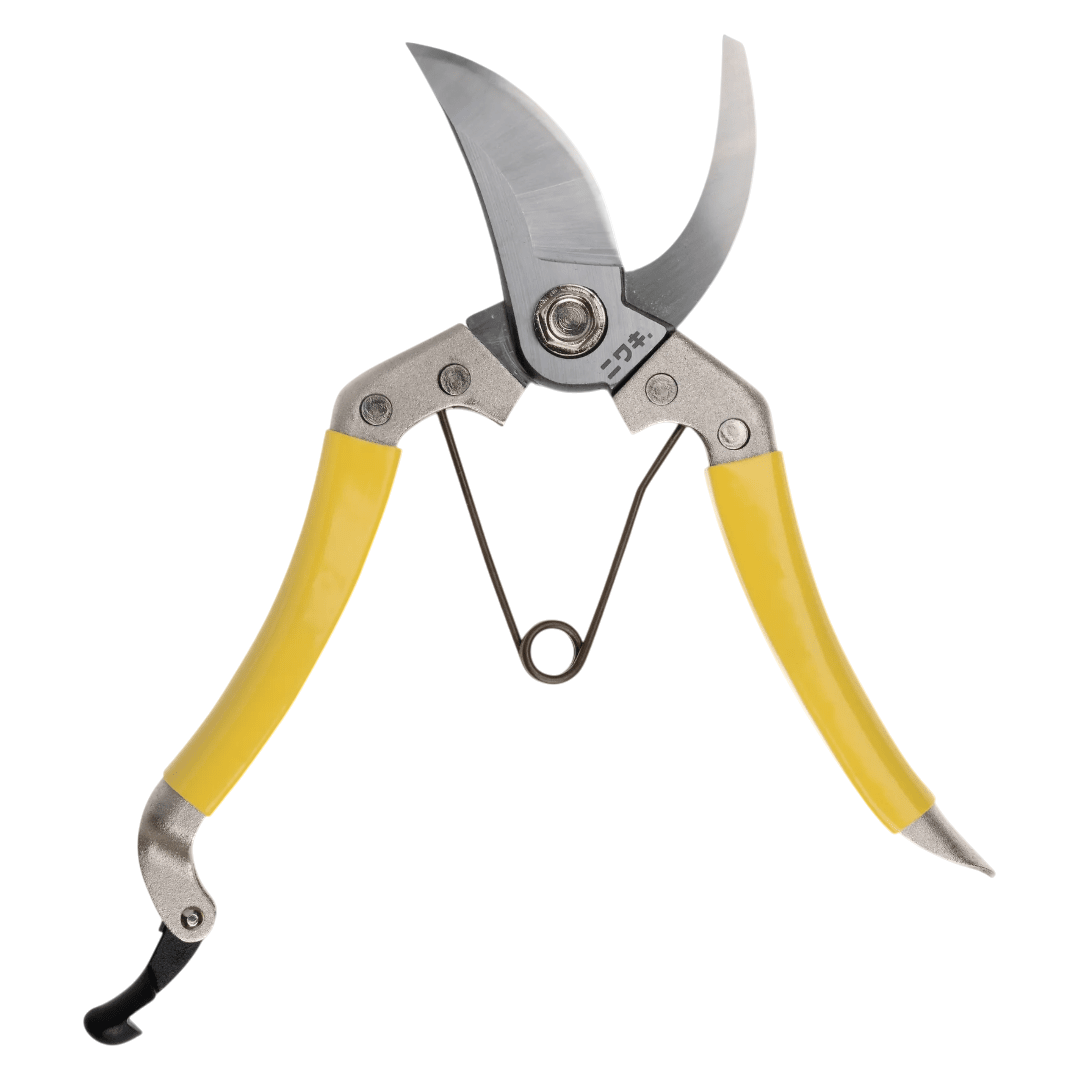 Regent Tailoring Niwaki Daikiba carbon steel secateurs with yellow handles and sharp blades for garden pruning