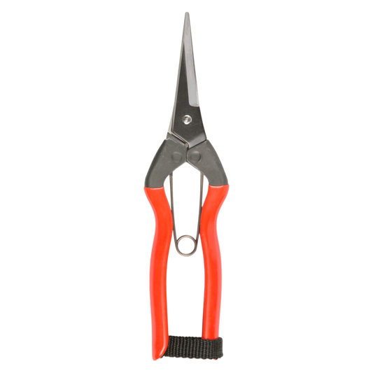 Regent Tailoring Niwaki garden snips with slender SK85 carbon steel blades and bright red handles