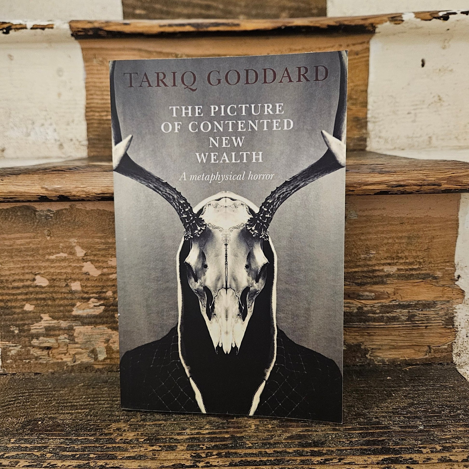 The Picture of Contented New Wealth - Tariq Goddard - Paperback - Regent Tailoring Salisbury