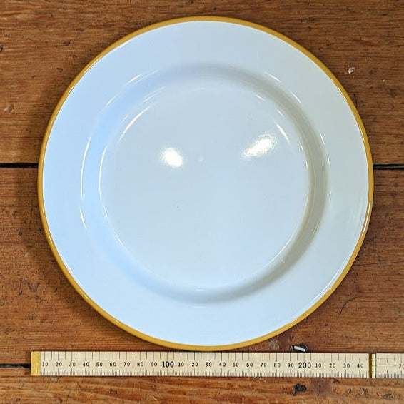 Enamelware hotsell dinner plates