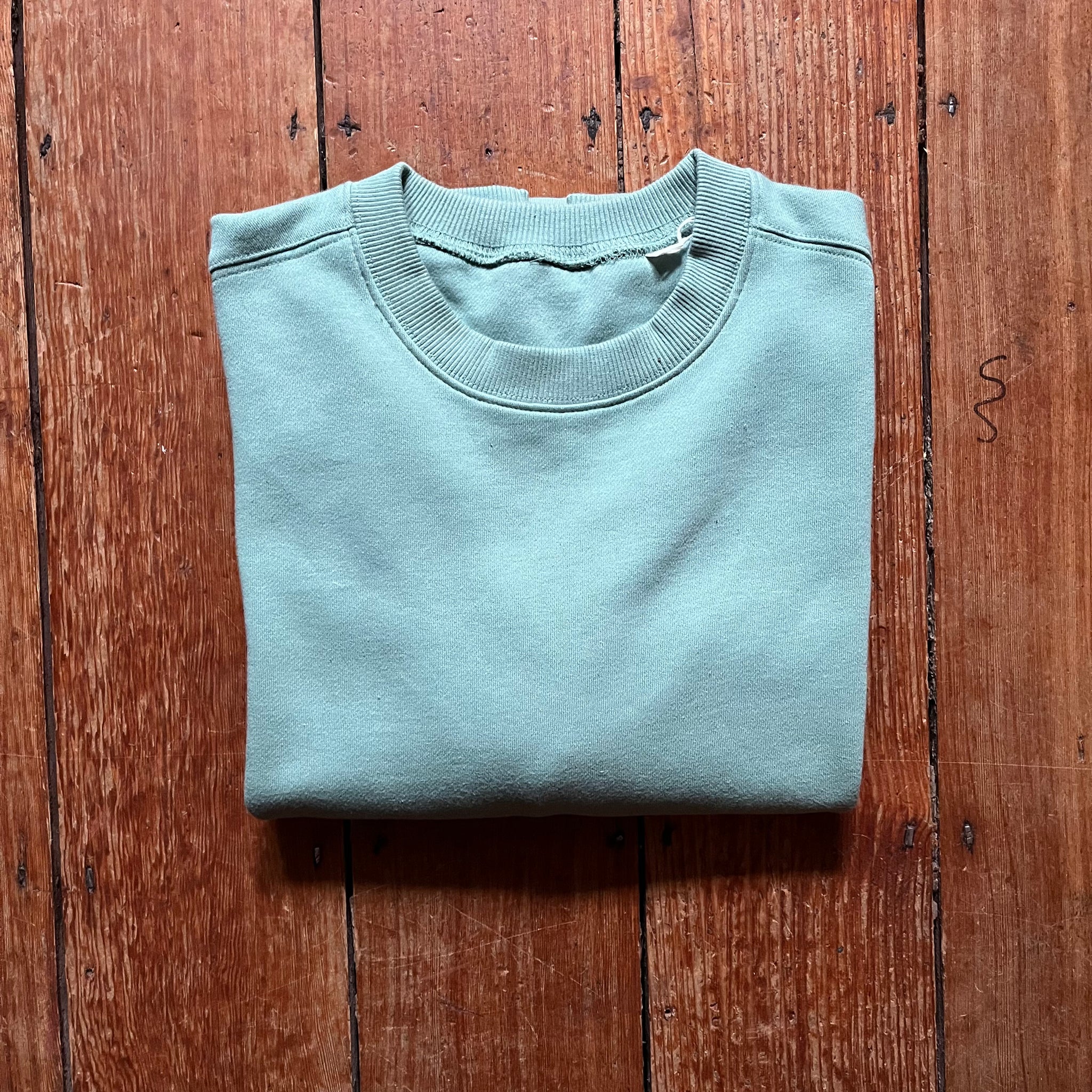 Sage 2025 green sweatshirt